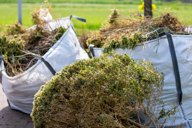 Best Office Cleanout  in Alvord, TX